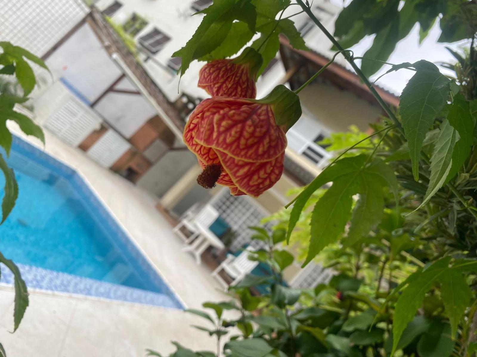 Pousada Do Tio Cido 瓜鲁雅 外观 照片